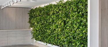 True Potential - Polyflor Vinyl Flooring