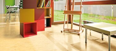 Polyflor Vinyl Flooring 