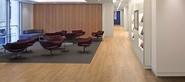 Polyflor Vinyl Flooring 