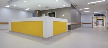 Polyflor Vinyl Flooring