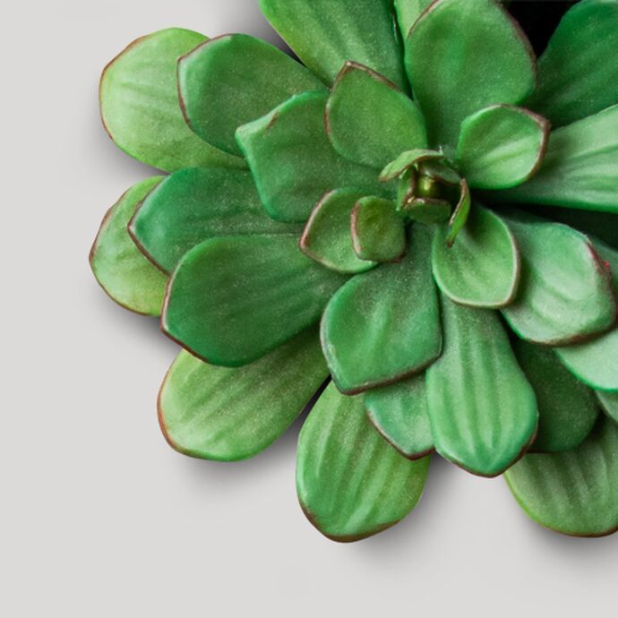 Polyflor Vinyl Flooring - About Us